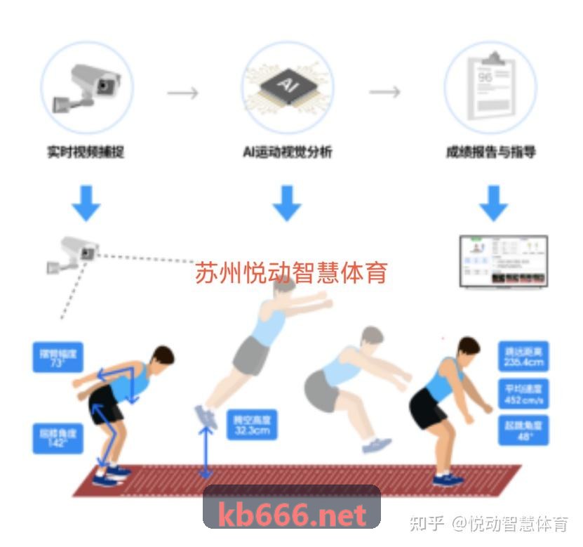 体育数字传媒资深主笔